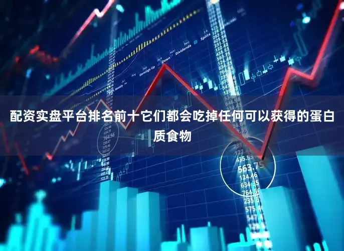 配资实盘平台排名前十它们都会吃掉任何可以获得的蛋白质食物